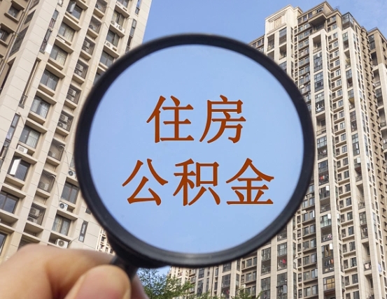 新野公积金自动离职可以取吗（住房公积金自动离职可以取吗）